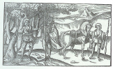 Cattle Raiding Party