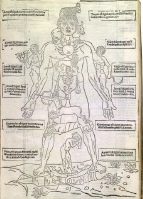 Astrological Signs for Blood-letting